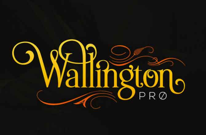 The wallington pro